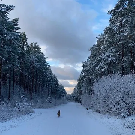 Elle Lindstroem וילה *